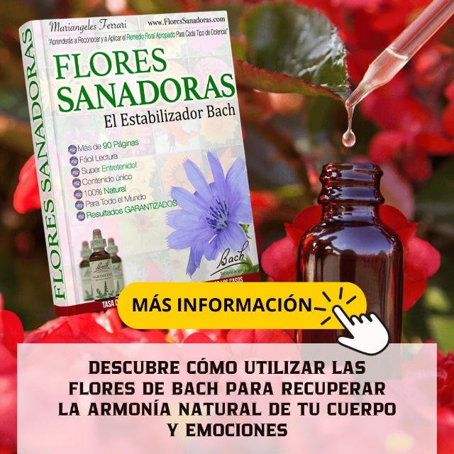 Flores Sanadoras 