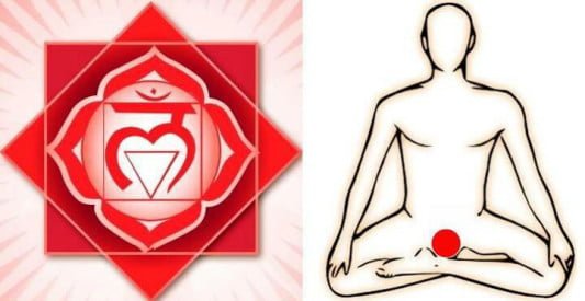 Conoce Las Funciones Del Primer Chakra (Raíz) y Cómo Sanarlo Con Reiki